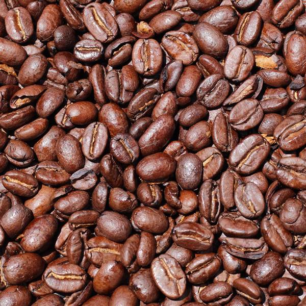 Best Coffee Beans in Town
